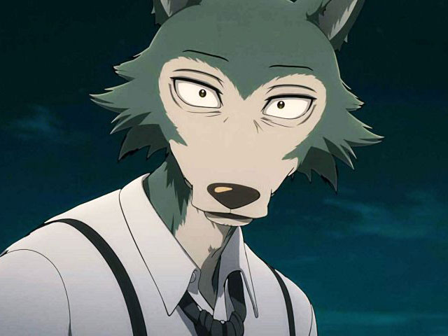 Legoshi, Protagonista de Beastars